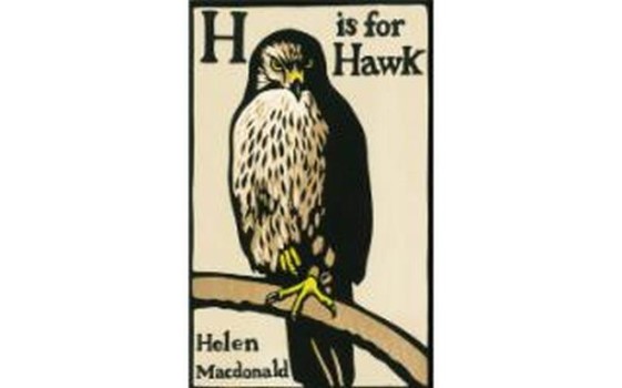 H Is for Hawk By Helen Macdonald
