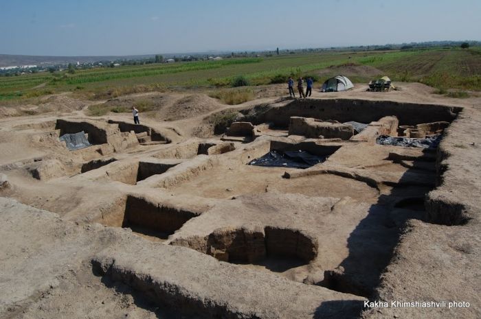 საქართველოში მუდმივმოქმედი პოლონური არქეოლოგიური მისია იმუშავებს