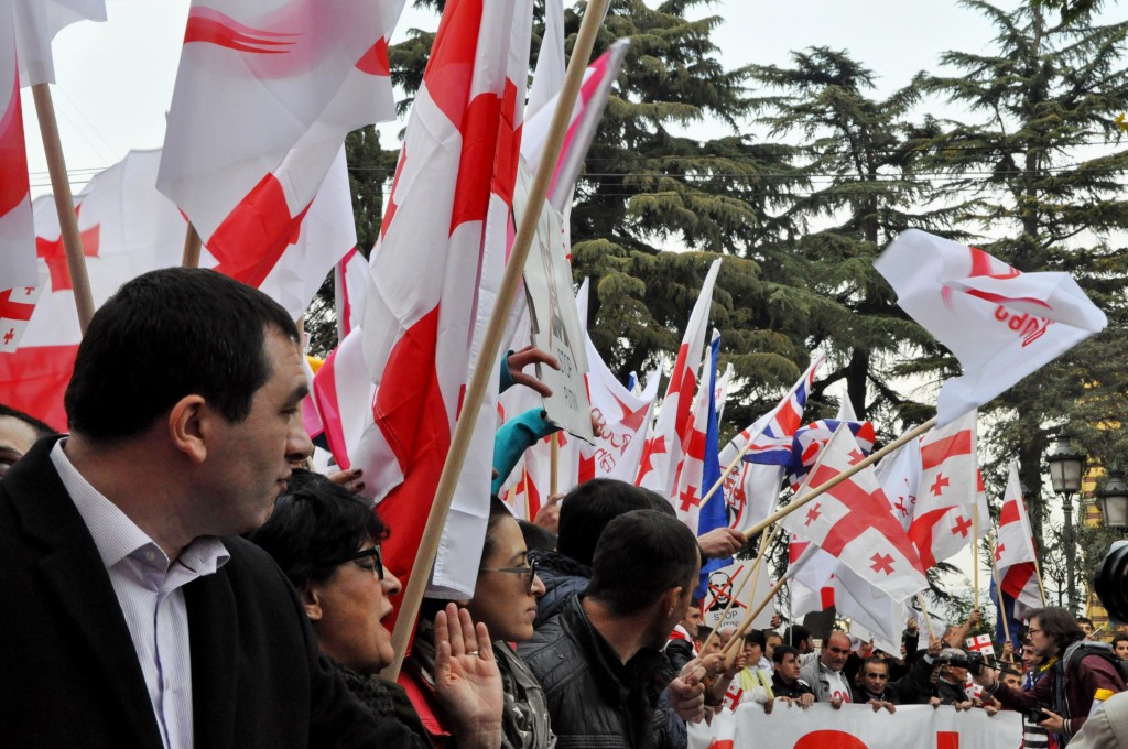 მსვლელობას, რომელიც ვარდების მოედნიდან დაიწყო, ნაციონალური მოძრაობის ლიდერები მიუძღოდნენ წინ. 15.11.2014