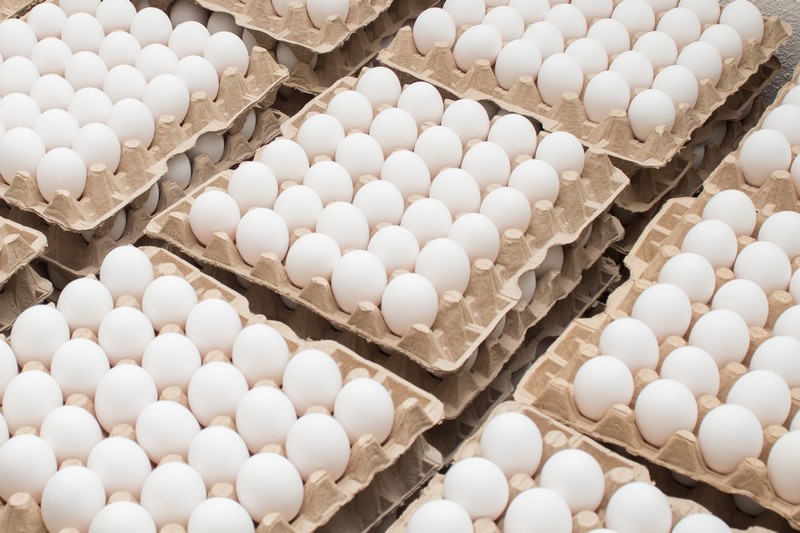 სურსათის ეროვნული სააგენტო: კვერცხის 60 ნიმუშის კვლევისას დარღვევა არ გამოვლენილა