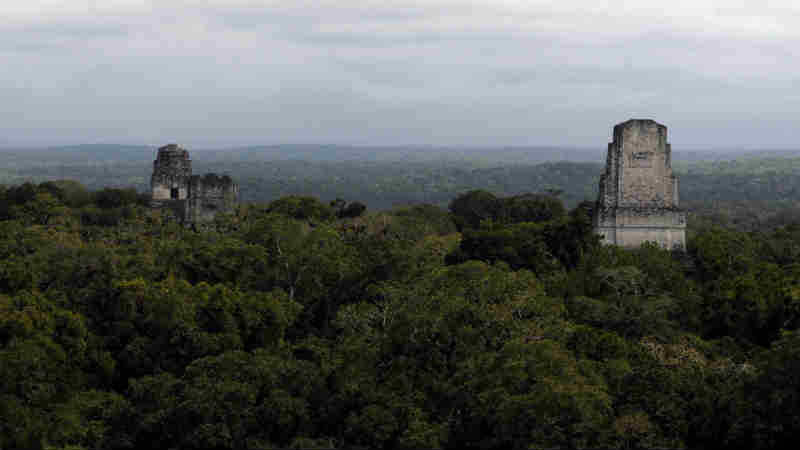 ტროპიკული ტყის ქვეშ უძველესი ცივილიზაციის 10-მილიონიანი დასახლება აღმოაჩინეს