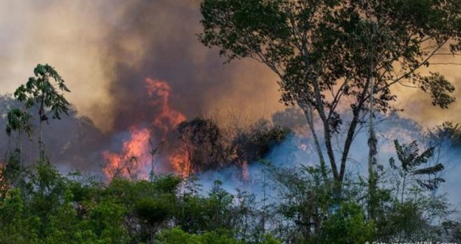 ხანძარი ამაზონის ჯუნგლებში. ფოტო: AFP