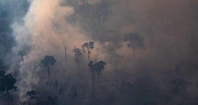 ხანძარი ამაზონის ტყეებში. ფოტო: BBC