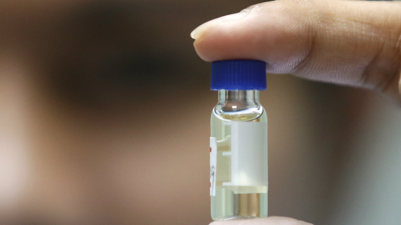 Предварительные данные: Оксфордская вакцина от ковида «эффективна на 70%»
