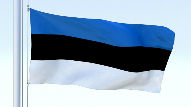 ესტონეთის პარლამენტმა რუსეთი ტერორისტულ სახელმწიფოდ გამოაცხადა