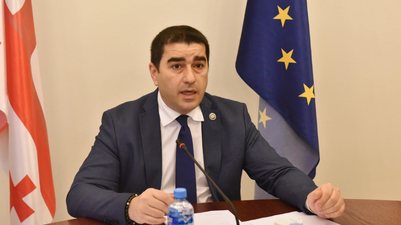 Спикер Парламента: «Грузия готова стать членом НАТО, нужно только политическое решение»