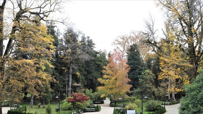 Посещение ботанического сада Зугдиди становится платным