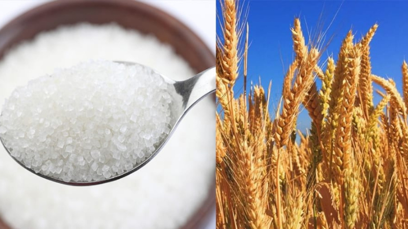 Россия вводит запрет на экспорт пшеницы и сахара в страны Евразийского союза