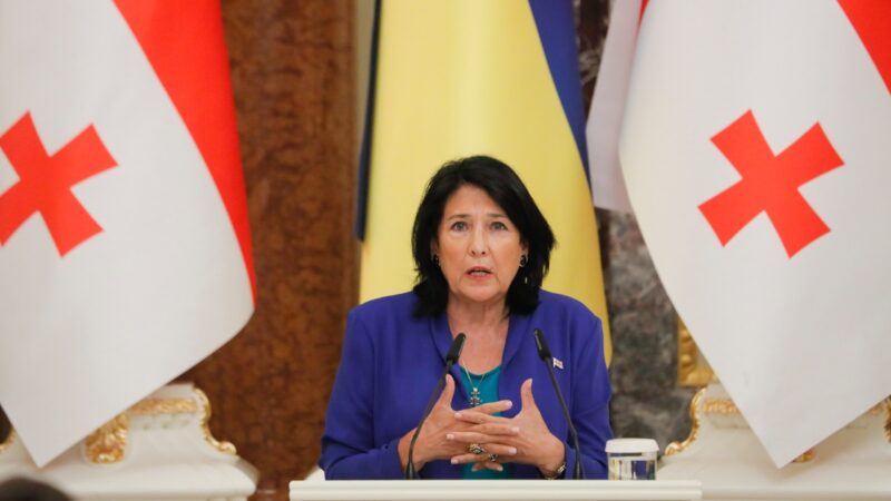 Украина ускорила открытие пути в Европу для Грузии  – Зурабишвили