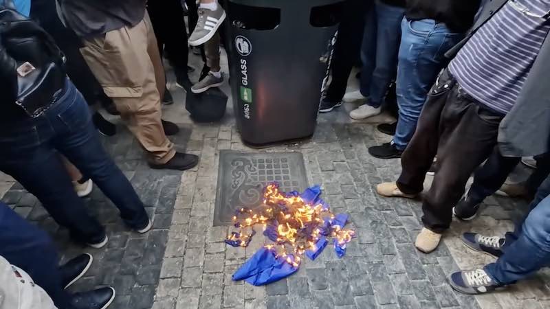 Сторонники «Alt-Info» демонстративно сожгли флаги НАТО и ЕС