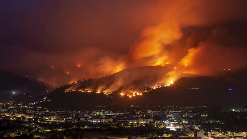 В Европе борются с лесными пожарами