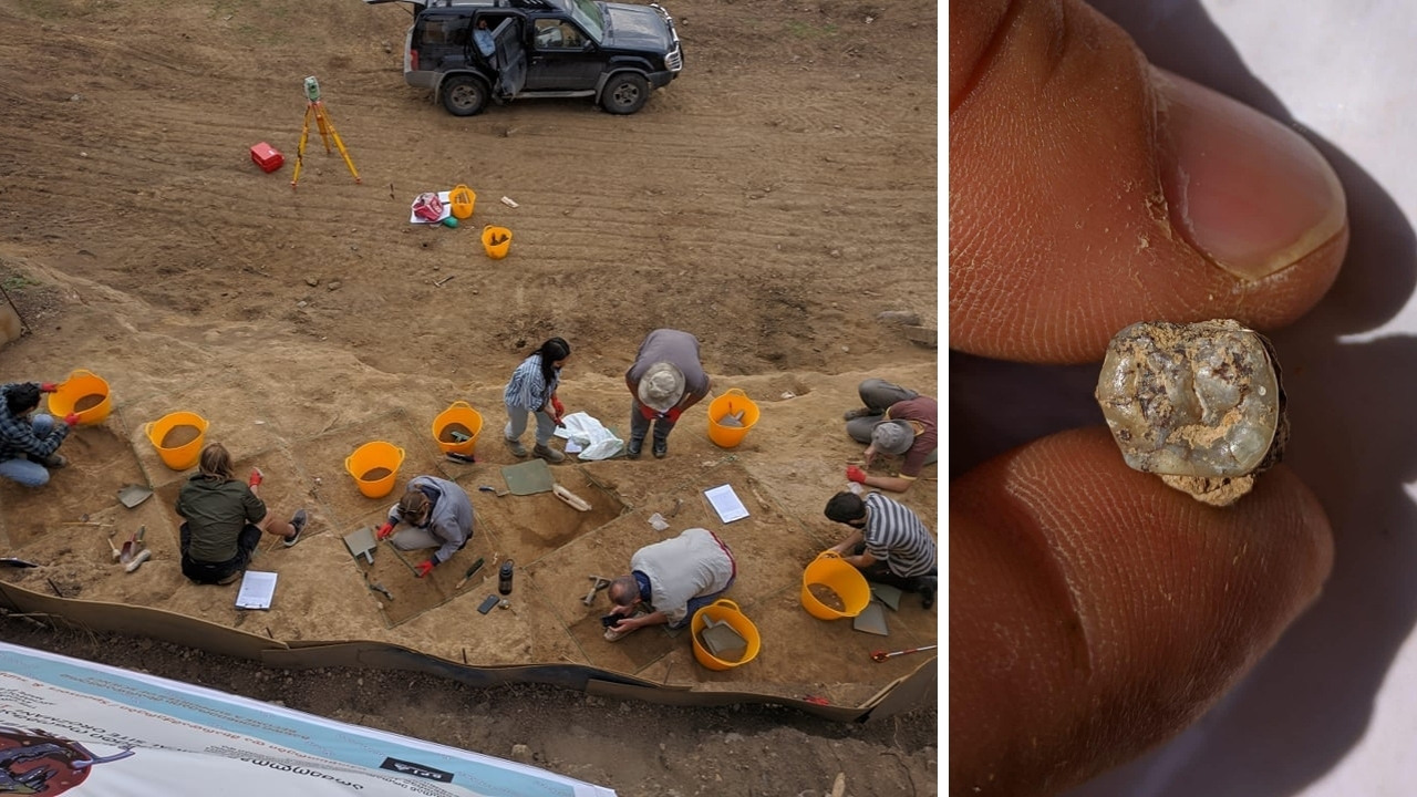 ქვემო ოროზმანში 1.7-1.8 მილიონი წლის წინანდელი ადამიანის კბილი აღმოაჩინეს – არქეოლოგები