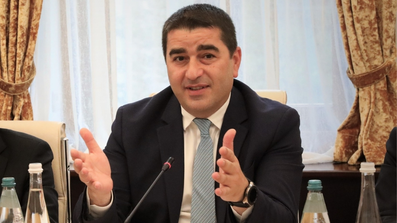 Папуашвили: Европарламент не является структурой, которая будет оценивать успехи Грузии