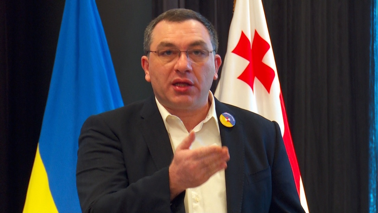 Бокерия провел параллель между властями Грузии и режимом Януковича