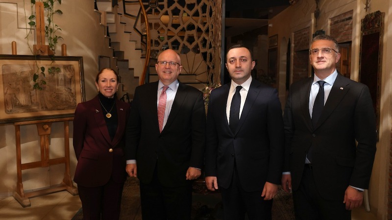 Премьер Грузии встретился с главным советником Госдепартамента США