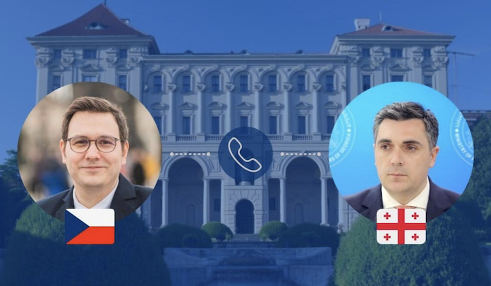 Глава МИД Чехии: Обсудили с Дарчиашвили состояние Саакашвили, 12 пунктов и поддержку Украине