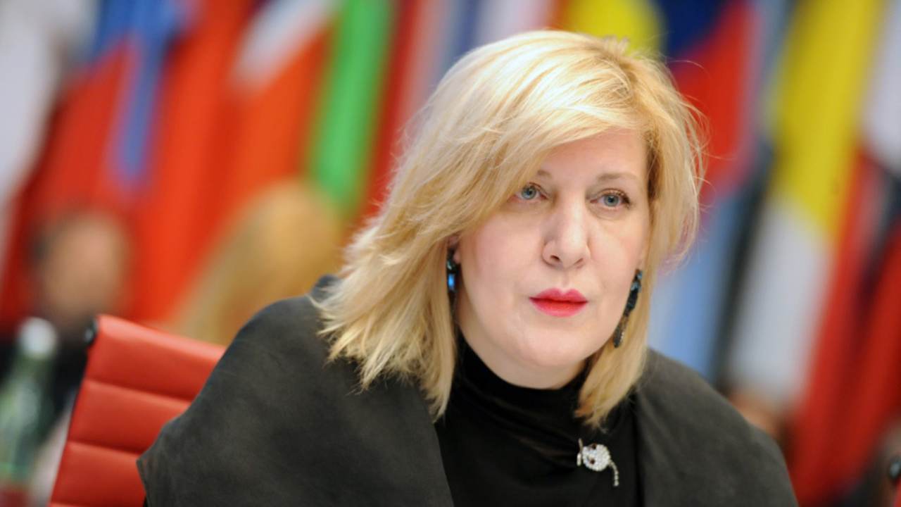 Комиссар Совета Европы по правам человека обратилась с письмом к спикеру Парламента Грузии