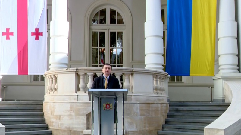 Касьянов: «Все украинские флаги, поднятые рядом с грузинским, являются доказательством солидарности грузинского народа»