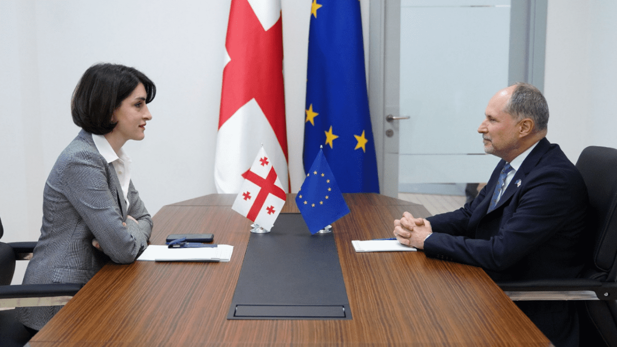 ევროკავშირის ელჩი მაკა ბოჭორიშვილთან შეხვედრაზე დაიბარეს