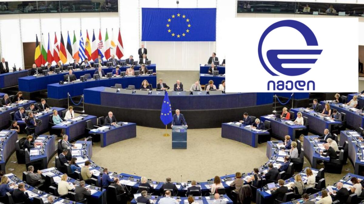 18 ევროპარლამენტარი ევროპულ საბჭოს „იმედის“ საკითხის შესწავლისკენ მოუწოდებს