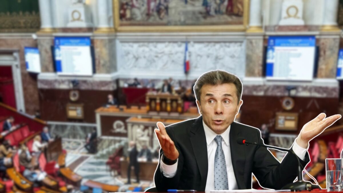 საფრანგეთის პარლამენტში მიღებული რეზოლუციით საფრანგეთის მოქალაქე ბიძინა ივანიშვილის დასანქცირებას ითხოვენ