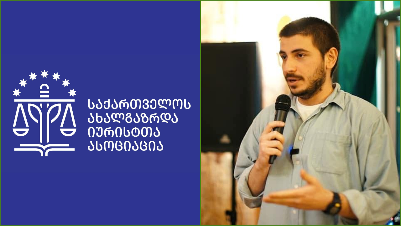 თავდასხმა „ოცნების“ მიერ შექმნილი ძალადობრივი გარემოს შედეგია – საია ოქრიაშვილზე