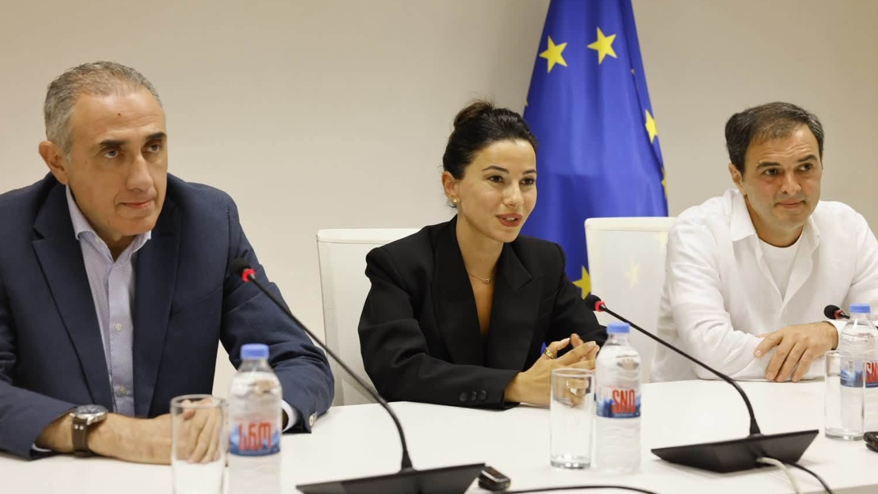 ელექტროსისტემაში ვარდიაშვილს ზარდიაშვილი შეცვლის