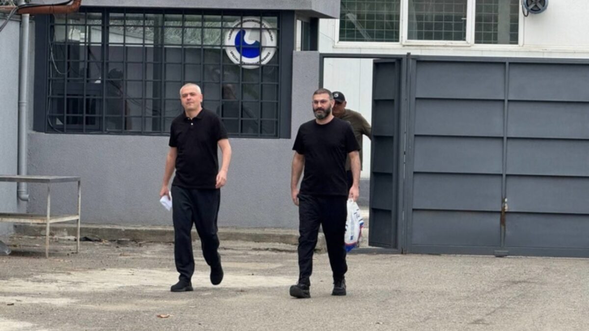 ვასილ მხეიძე და გიორგი ხაინდრავა გათავისუფლდნენ