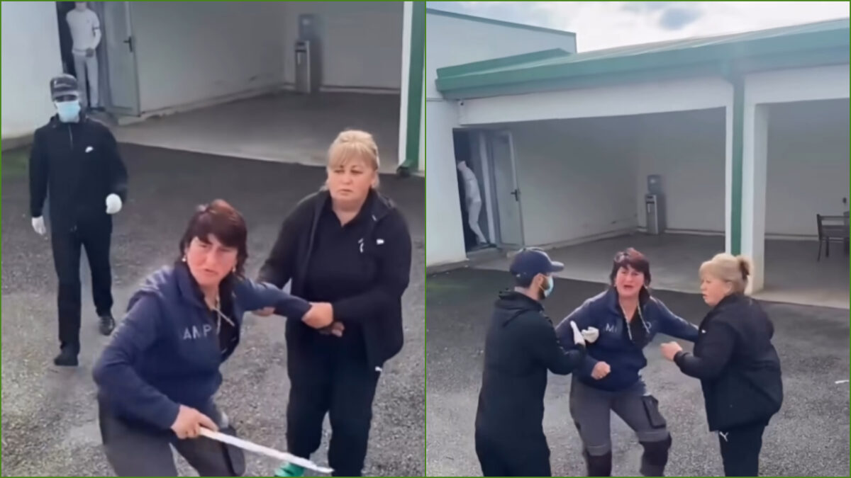 გორის ცხოველთა თავშესაფრის თანამშრომელმა აქტივისტს ჯოხი დაარტყა – „ქართლის ამბები“
