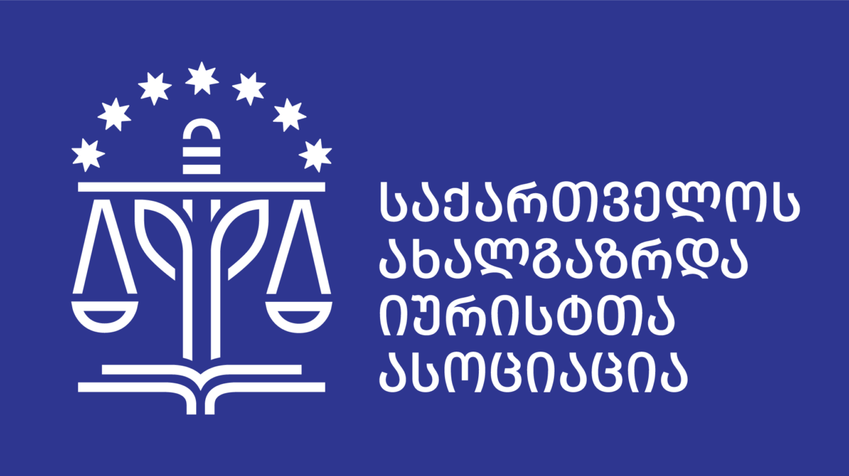 საიამ პარტიების აკრძალვის საქმეზე საკონსტიტუციო სასამართლოს მეგობრის მოსაზრებით მიმართა